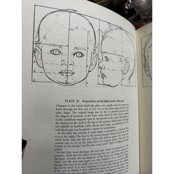 Drawing the Head and Hands by Andrew Loomis - Picture 7 of 7